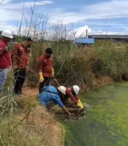 Diduga Tercemar Limbah Sawit PT AGS, Warga Desa Sumberaya Gagal Panen – LSM RIB Siap Lapor dan Gelar Aksi