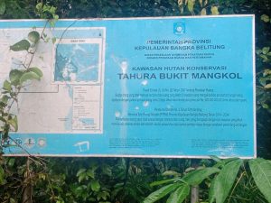 Tambang Ilegal di Hutan Lindung Diduga Dapat Backup Oknum Aparat, LSM Rakyat Indonesia Berdaya Desak Penegakan Hukum Tegas