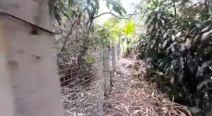 LSM Rakyat Indonesia Berdaya Soroti Pembangunan Pagar di Kawasan Lembah Purba Sukabumi