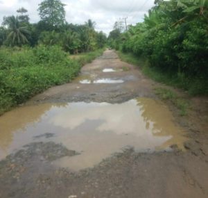 LSM RIB Soroti Keluhan Warga Jalan Rusak Berlubang di Kecamatan Ciemas